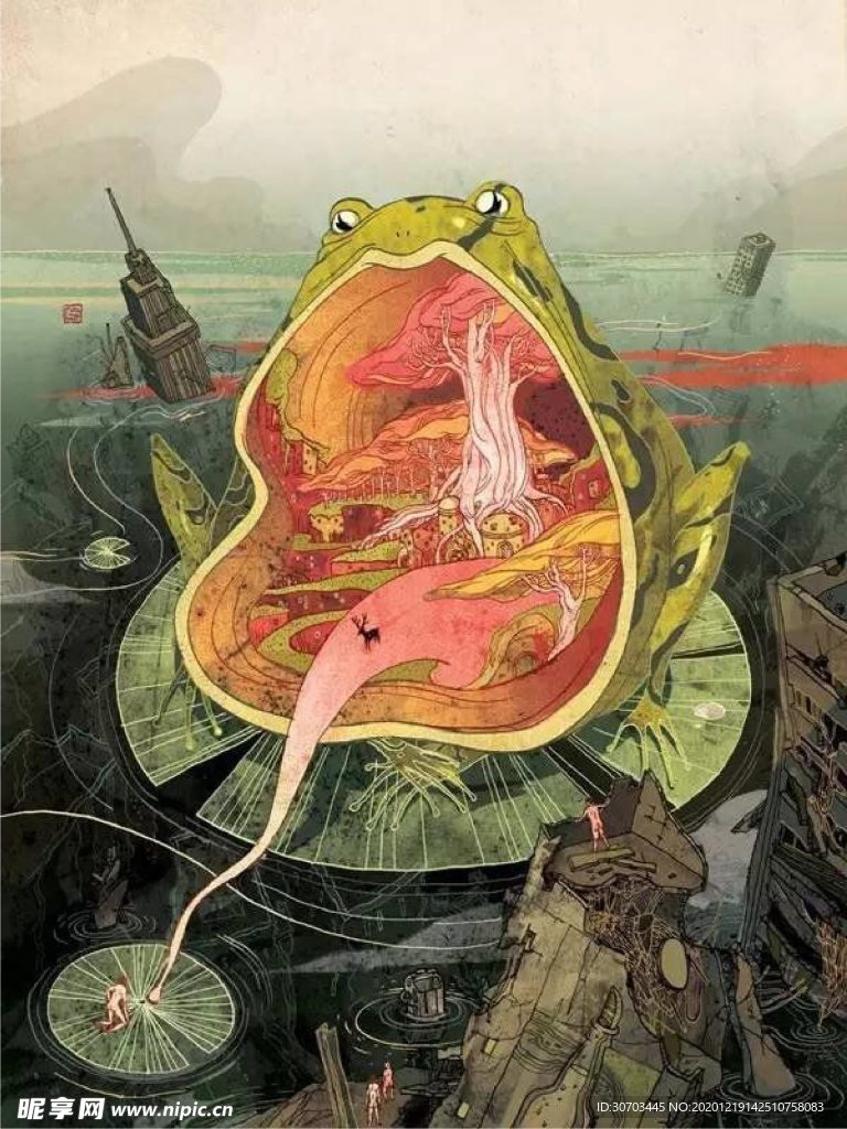 青蛙