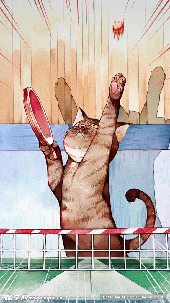 猫