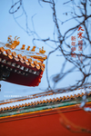 大寒图片