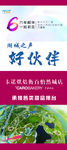 卡诺-湖城之声展架