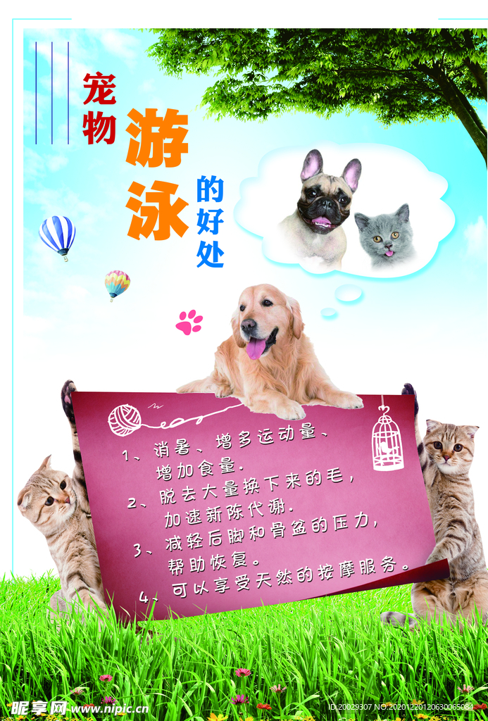 宠物游泳好处