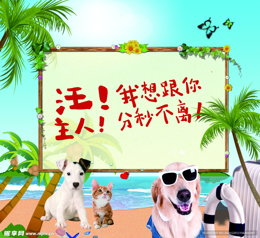 夏季宠物