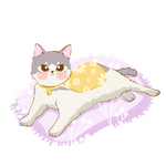 手绘猫插画