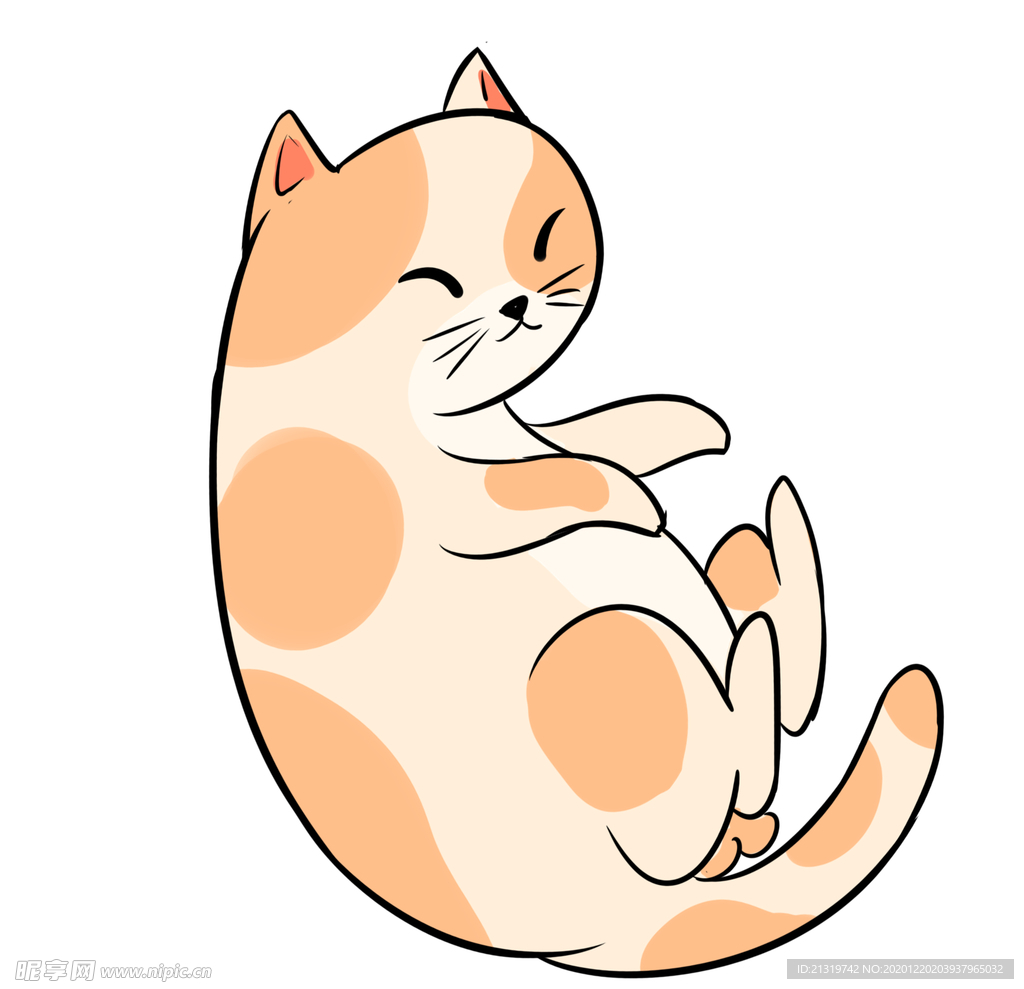 玩耍的小猫