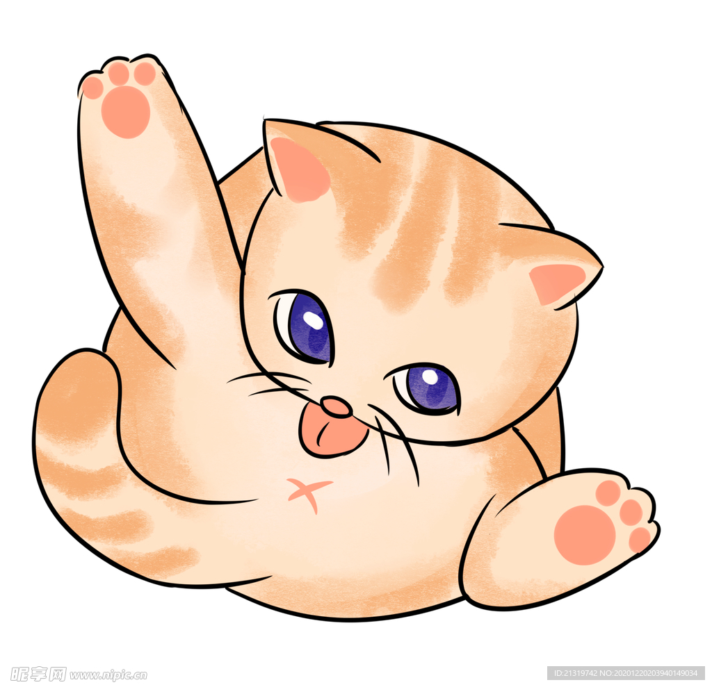 可爱的橘色小猫