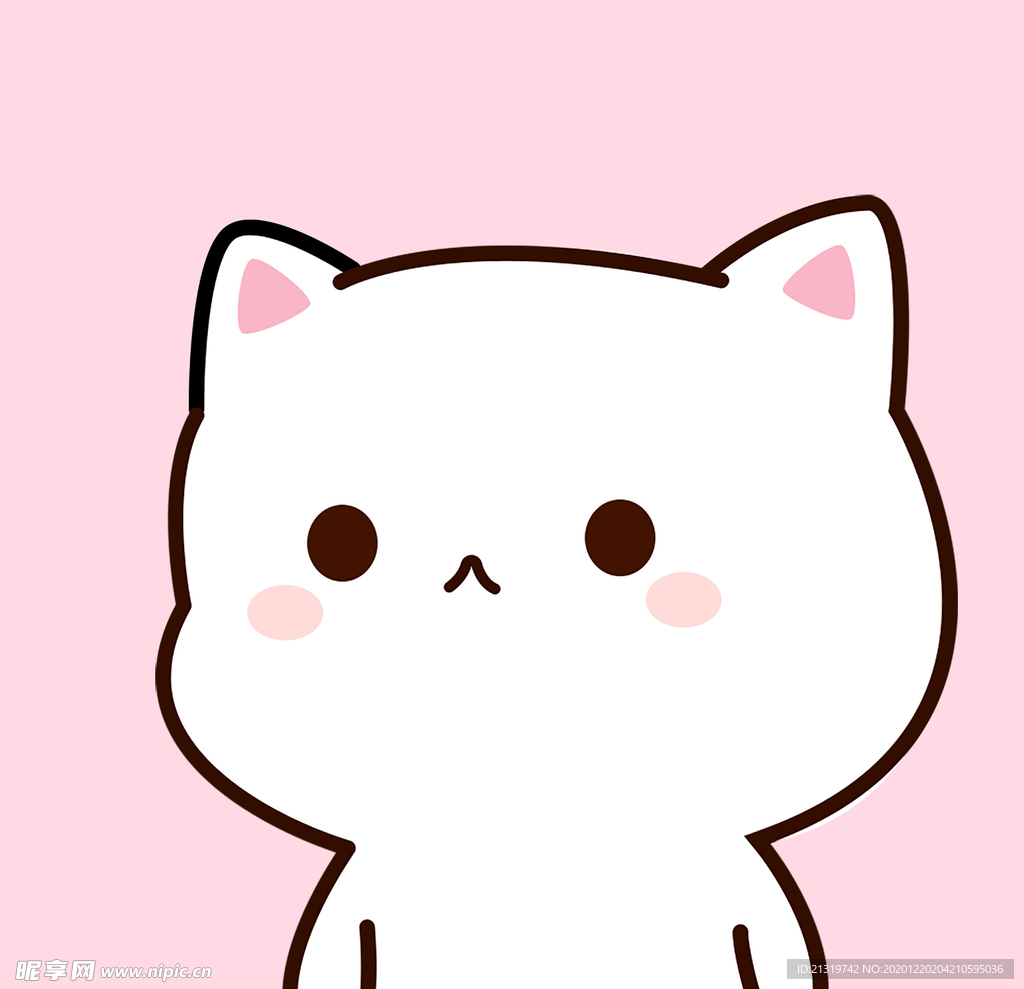 粉色背景白色小猫