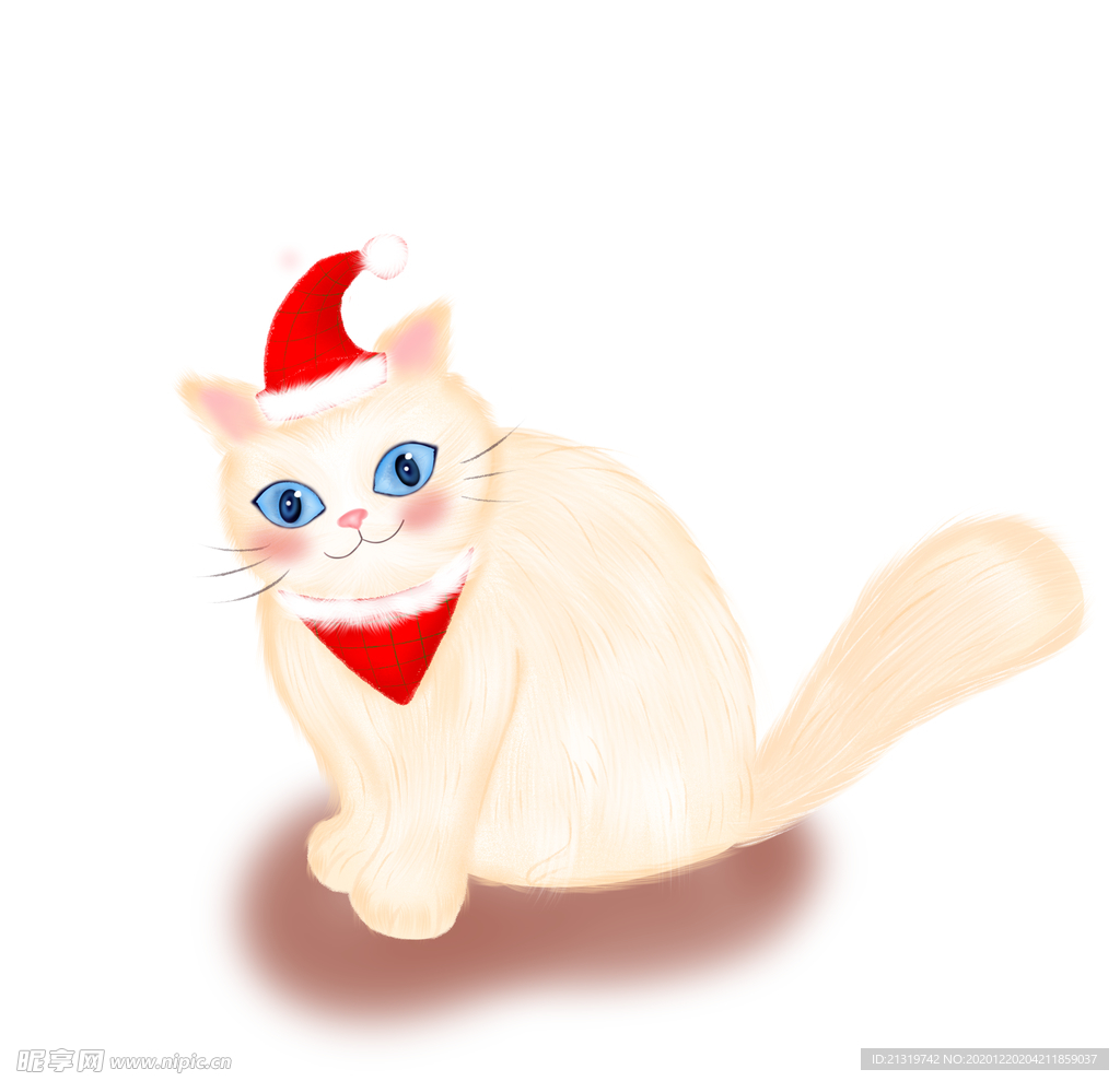 带圣诞帽的小猫