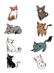 可爱小猫咪