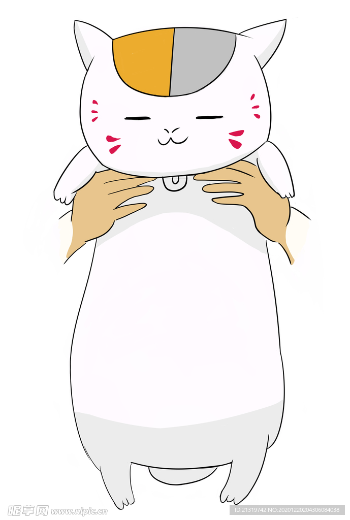 呆萌白色小猫