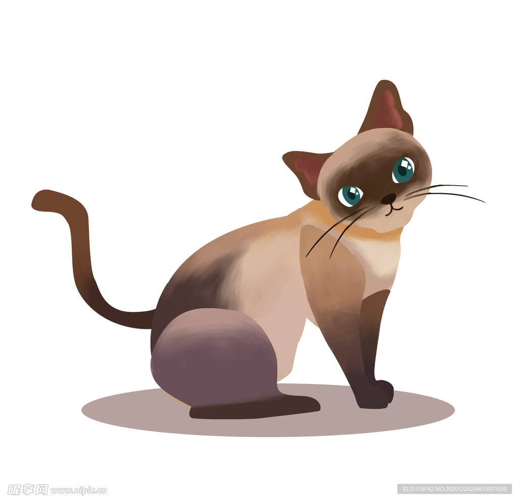 大眼睛的猫咪