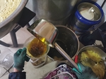 纯菜油
