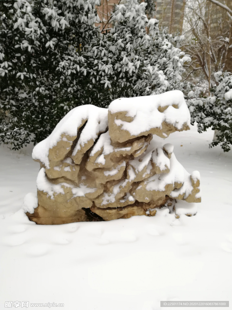 雪景