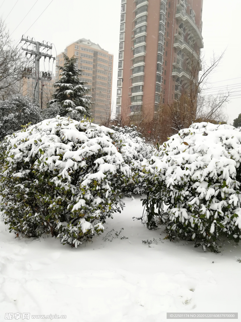 雪天景观