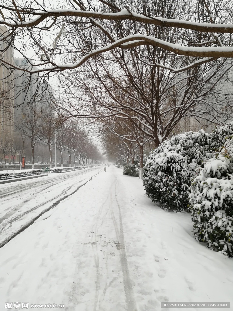 雪景