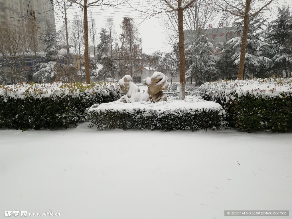 雪景