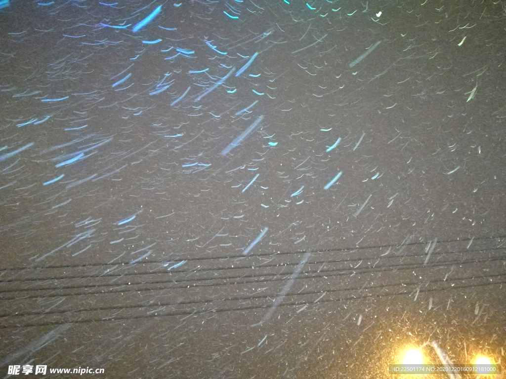 灯光下的飘雪