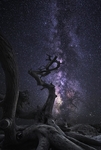 宇宙