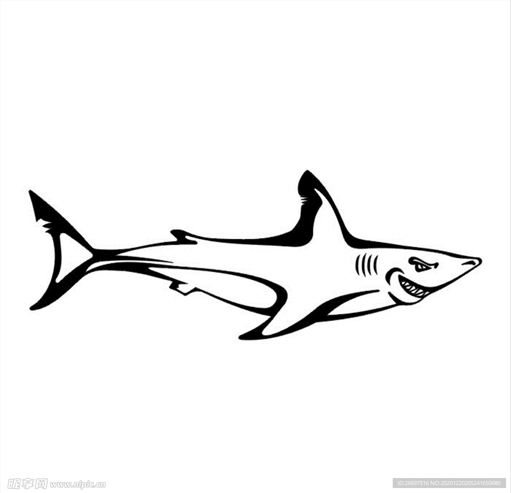 鲨鱼图案素材