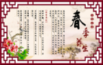 春季养生