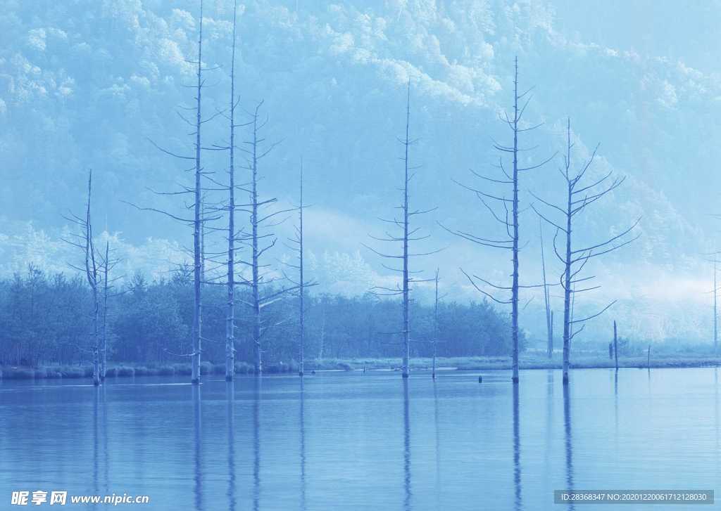 绿树山水