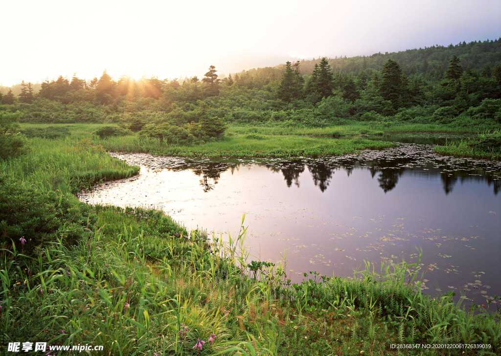 绿树山水