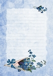 小清新