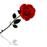 花边