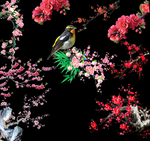 梅花素材