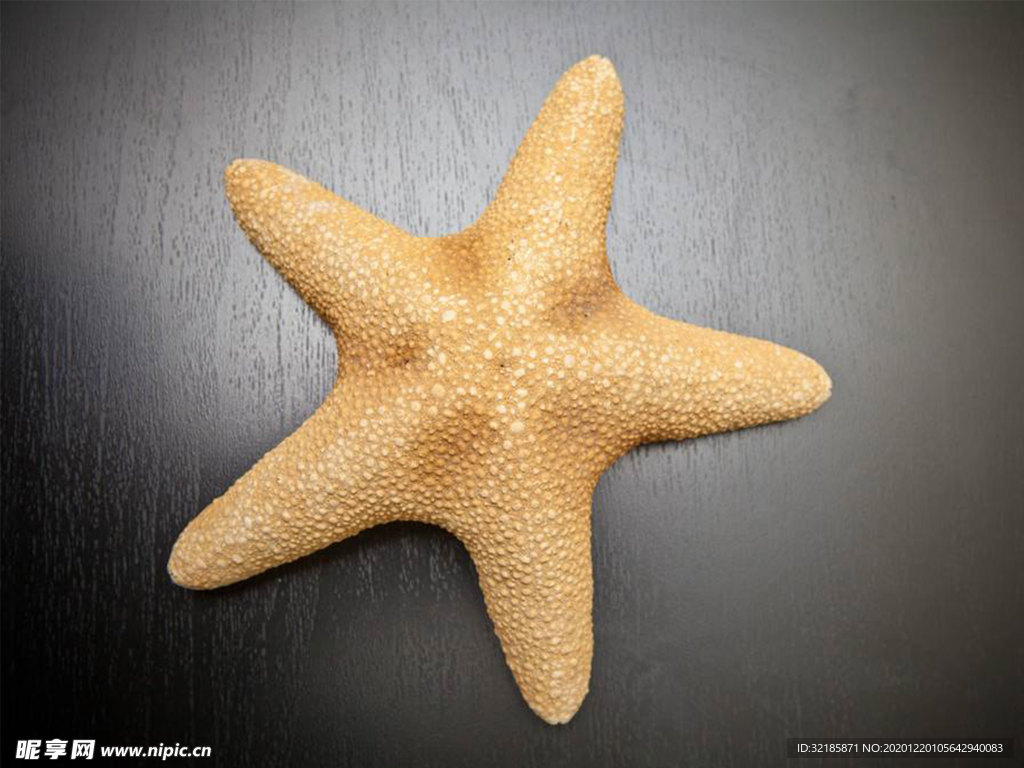 海星
