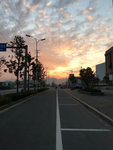 夕阳