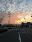 夕阳图片
