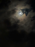 夜景