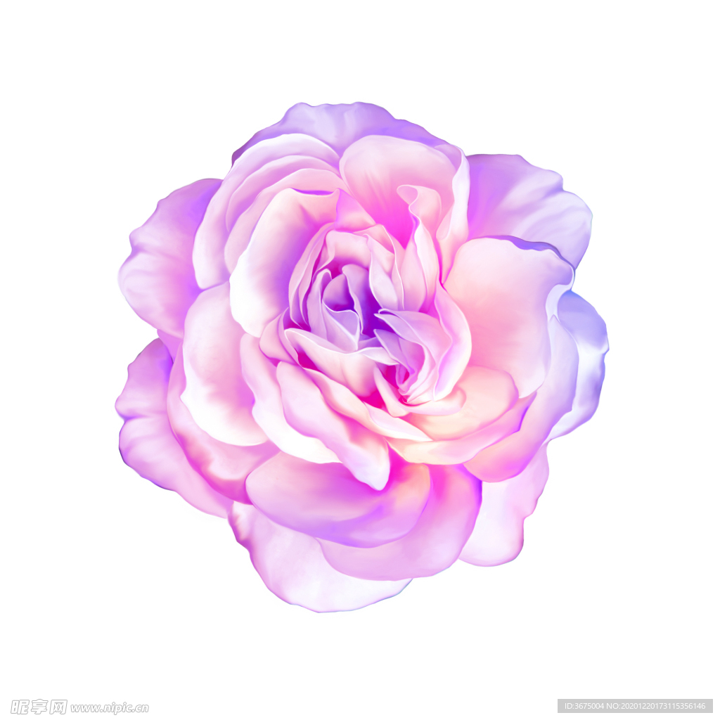 手绘花朵