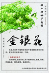 微山湖地产药材 金银花