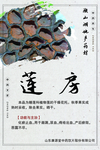 微山湖地产药材 莲房