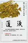 微山湖地产药材 莲须