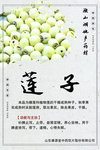 微山湖地产药材 莲子