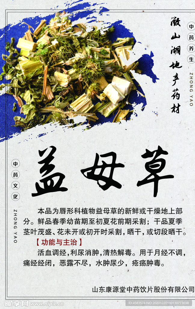 中药简介 益母草