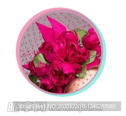 玫瑰