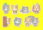 猫 周边