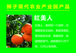 农业产品