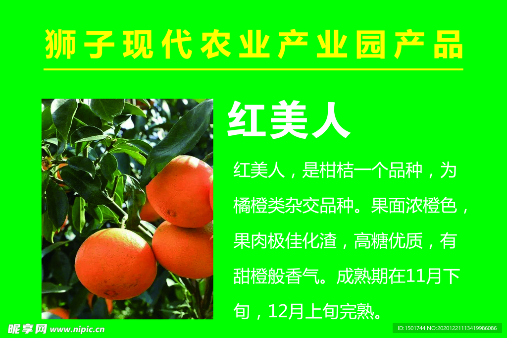 农业产品