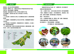 产业宣传手册