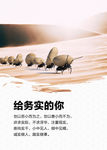 给务实的你  海报挂画