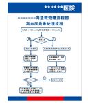 急救抢救处理流程图