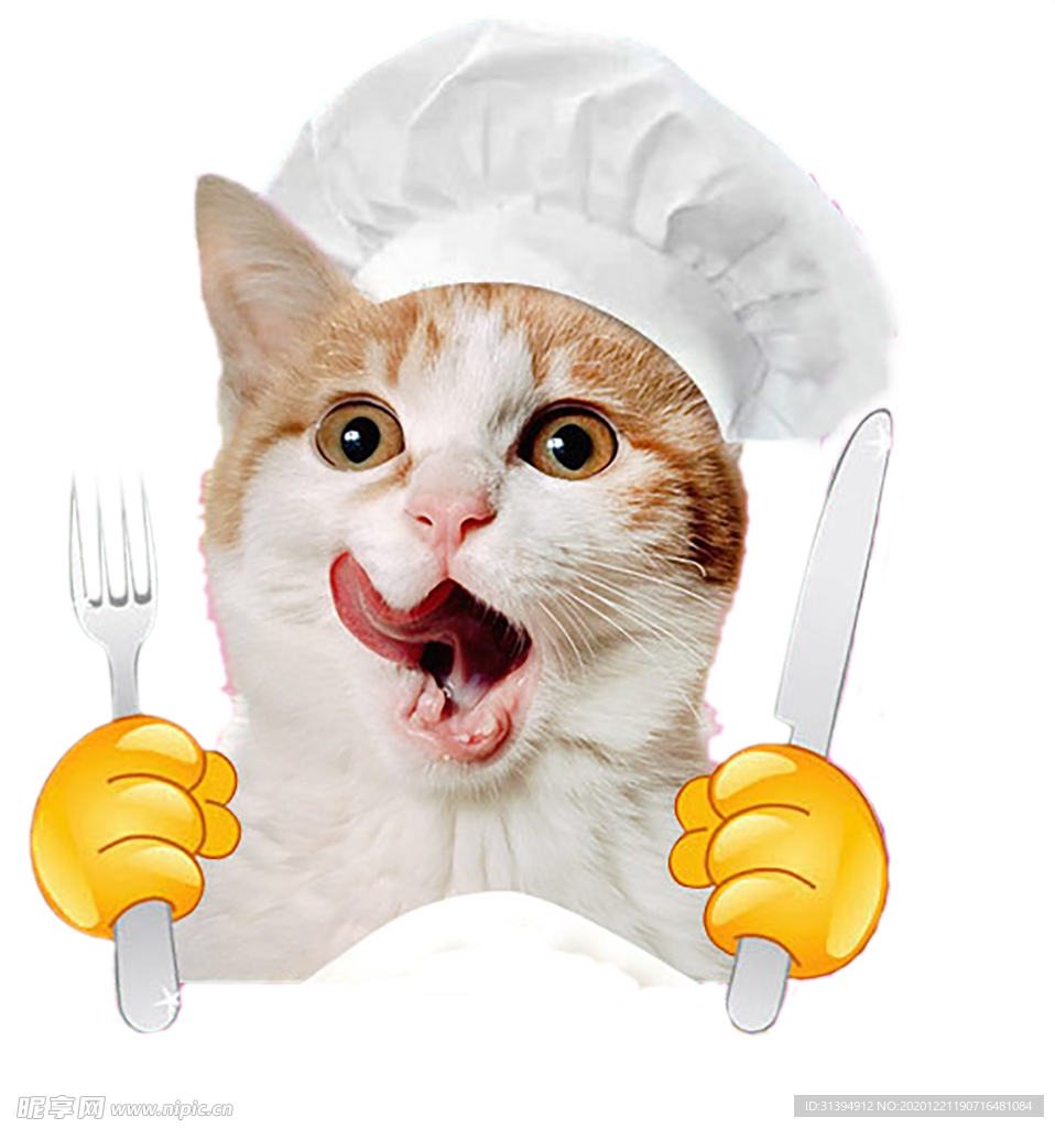 猫