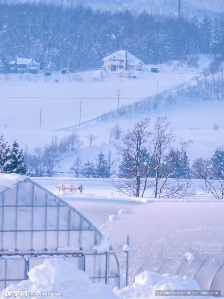 雪地