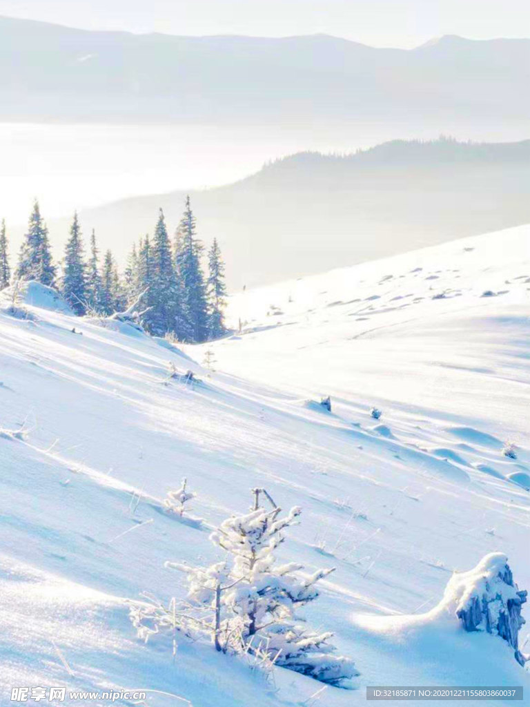 雪地   图片