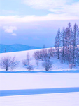 雪地