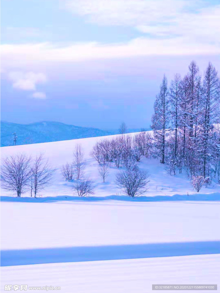 雪地
